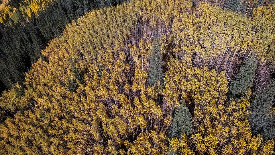 why aspen are amazing drone photo 1